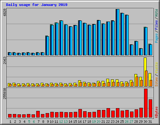 Daily usage for January 2019