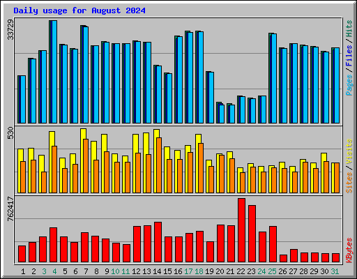 Daily usage for August 2024