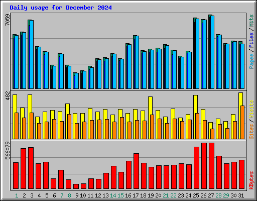 Daily usage for December 2024