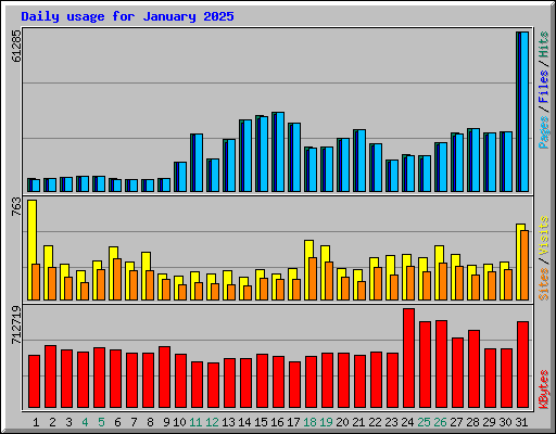 Daily usage for January 2025