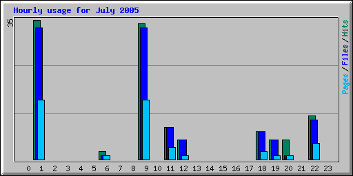 Hourly usage for July 2005