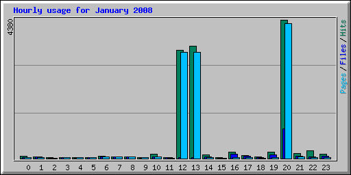 Hourly usage for January 2008