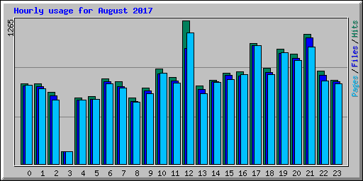 Hourly usage for August 2017