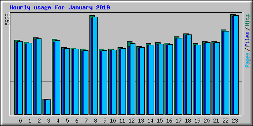 Hourly usage for January 2019