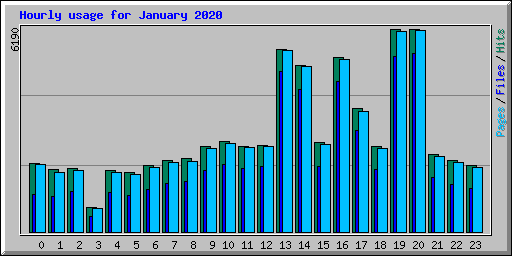 Hourly usage for January 2020