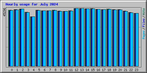 Hourly usage for July 2024