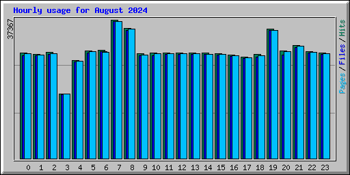 Hourly usage for August 2024