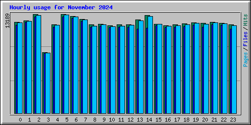 Hourly usage for November 2024