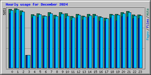 Hourly usage for December 2024