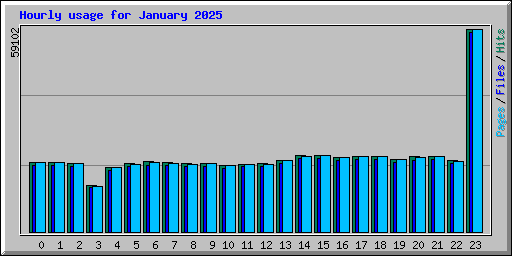 Hourly usage for January 2025