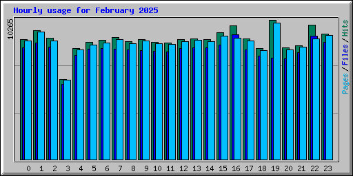 Hourly usage for February 2025