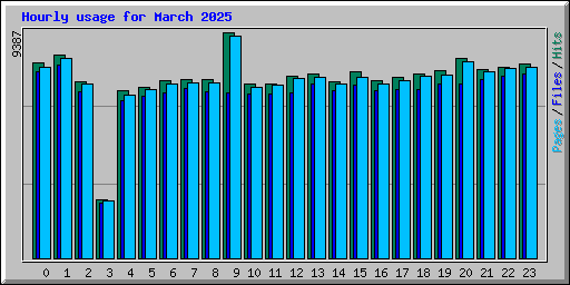Hourly usage for March 2025