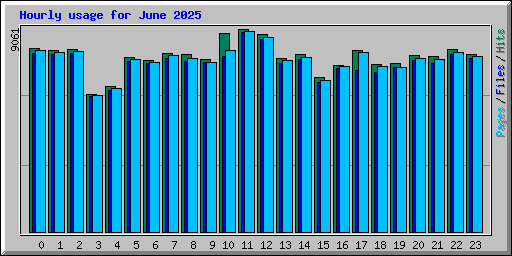 Hourly usage for June 2025