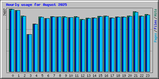 Hourly usage for August 2025