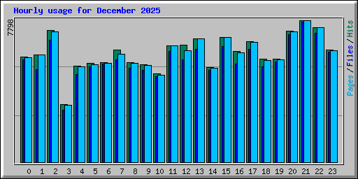 Hourly usage for December 2025