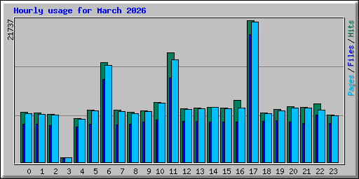 Hourly usage for March 2026